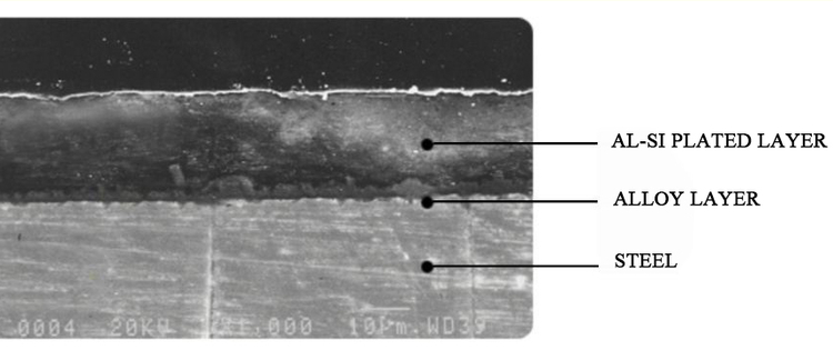 Cross section of the coated layers.jpg